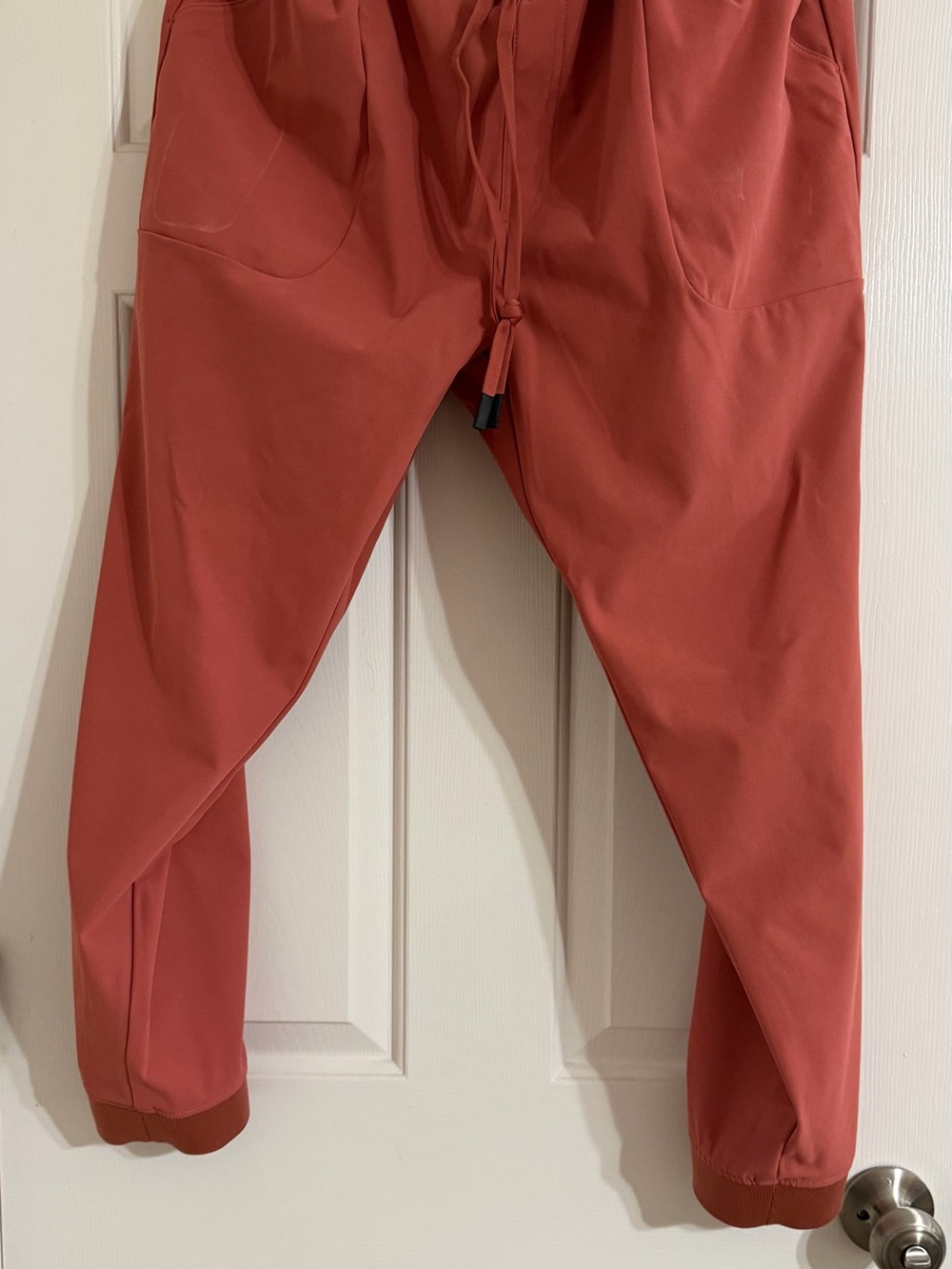 Men's Performance Joggers in Brick Red